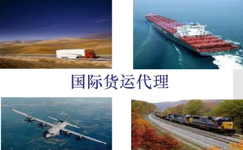 &#29233;&#28216;&#25103;&#20307;&#32946;&#40;&#20013;&#22269;&#41;&#20307;&#32946;&#23448;&#26041;&#32593;&#31449;